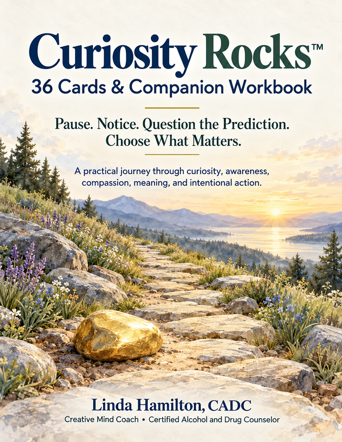 Cover of the Curiosity Rocks 36 Cards and Companion Workbook